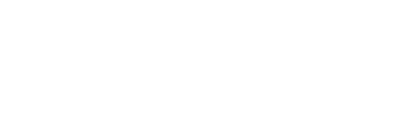 logo-vildrex